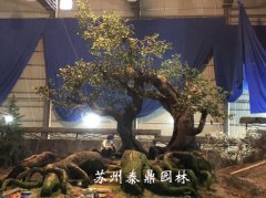 上海domall影棚水泥仿树造景